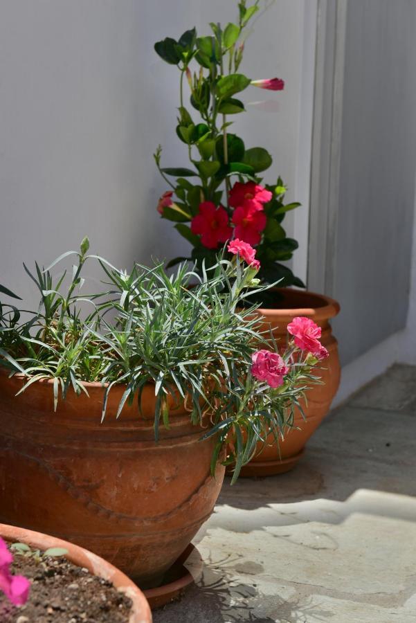 Feel At Home - Family House In Hydra Extérieur photo